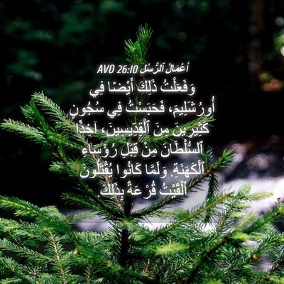 Picture 04 - أَعْمَالُ ٱلرُّسُلِ 26:10 AVD - وَفَعَلْتُ ذَلِكَ أَيْضًا - Bible Verse Picture
