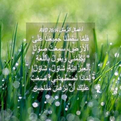 Picture 04 - أَعْمَالُ ٱلرُّسُلِ 26:14 AVD - فَلَمَّا سَقَطْنَا - Bible Verse Picture