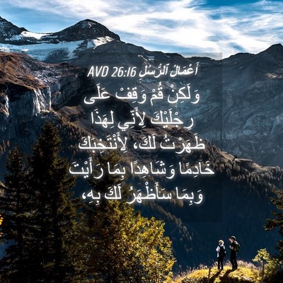 Picture 04 - أَعْمَالُ ٱلرُّسُلِ 26:16 AVD - وَلَكِنْ قُمْ وَقِفْ عَلَى - Bible Verse Picture