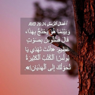 Picture 04 - أَعْمَالُ ٱلرُّسُلِ 26:24 AVD - وَبَيْنَمَا هُوَ - Bible Verse Picture