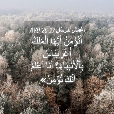 Picture 04 - أَعْمَالُ ٱلرُّسُلِ 26:27 AVD - أَتُؤْمِنُ أَيُّهَا - Bible Verse Picture