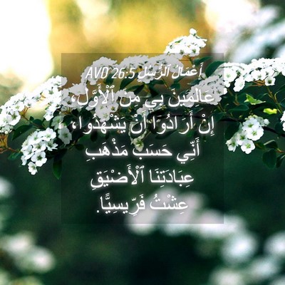 Picture 04 - أَعْمَالُ ٱلرُّسُلِ 26:5 AVD - عَالِمِينَ بِي مِنَ - Bible Verse Picture