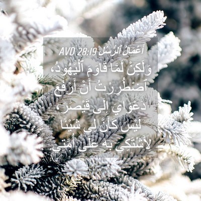 Picture 04 - أَعْمَالُ ٱلرُّسُلِ 28:19 AVD - وَلَكِنْ لَمَّا قَاوَمَ - Bible Verse Picture