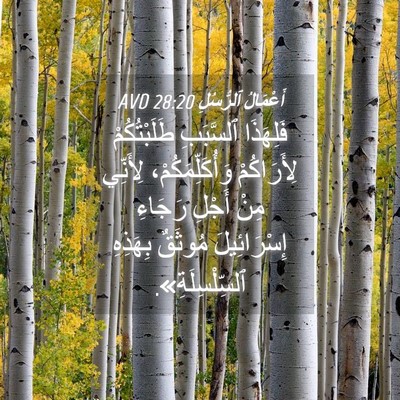 Picture 04 - أَعْمَالُ ٱلرُّسُلِ 28:20 AVD - فَلِهَذَا ٱلسَّبَبِ - Bible Verse Picture