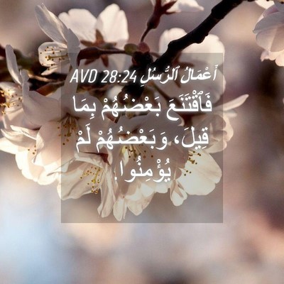 Picture 04 - أَعْمَالُ ٱلرُّسُلِ 28:24 AVD - فَٱقْتَنَعَ بَعْضُهُمْ - Bible Verse Picture