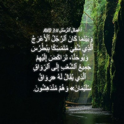 Picture 04 - أَعْمَالُ ٱلرُّسُلِ 3:11 AVD - وَبَيْنَمَا كَانَ - Bible Verse Picture