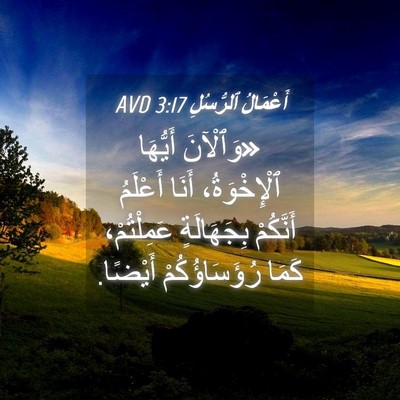 Picture 04 - أَعْمَالُ ٱلرُّسُلِ 3:17 AVD - «وَٱلْآنَ أَيُّهَا - Bible Verse Picture