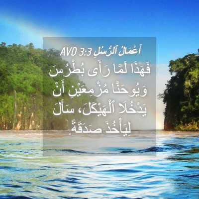 Picture 04 - أَعْمَالُ ٱلرُّسُلِ 3:3 AVD - فَهَذَا لَمَّا رَأَى - Bible Verse Picture