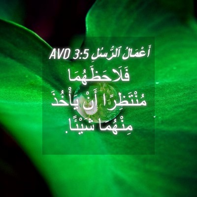 Picture 04 - أَعْمَالُ ٱلرُّسُلِ 3:5 AVD - فَلَاحَظَهُمَا - Bible Verse Picture