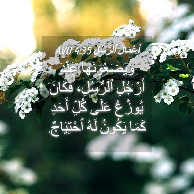 Picture 04 - أَعْمَالُ ٱلرُّسُلِ 4:35 AVD - وَيَضَعُونَهَا عِنْدَ - Bible Verse Picture