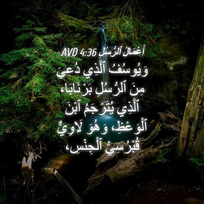 Picture 04 - أَعْمَالُ ٱلرُّسُلِ 4:36 AVD - وَيُوسُفُ ٱلَّذِي دُعِيَ - Bible Verse Picture