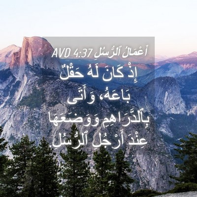 Picture 04 - أَعْمَالُ ٱلرُّسُلِ 4:37 AVD - إِذْ كَانَ لَهُ حَقْلٌ - Bible Verse Picture