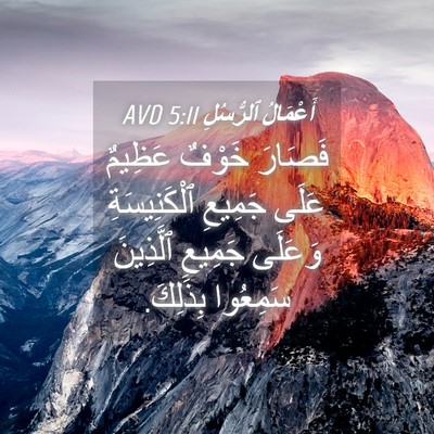 Picture 04 - أَعْمَالُ ٱلرُّسُلِ 5:11 AVD - فَصَارَ خَوْفٌ عَظِيمٌ - Bible Verse Picture