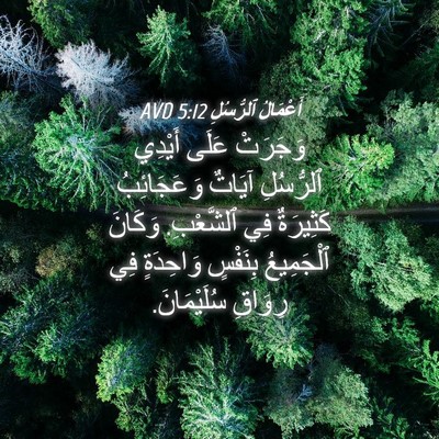 Picture 04 - أَعْمَالُ ٱلرُّسُلِ 5:12 AVD - وَجَرَتْ عَلَى أَيْدِي - Bible Verse Picture