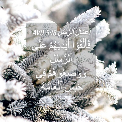 Picture 04 - أَعْمَالُ ٱلرُّسُلِ 5:18 AVD - فَأَلْقَوْا أَيْدِيَهُمْ - Bible Verse Picture