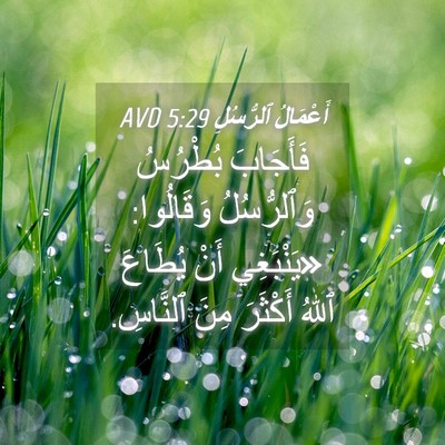 Picture 04 - أَعْمَالُ ٱلرُّسُلِ 5:29 AVD - فَأَجَابَ بُطْرُسُ - Bible Verse Picture