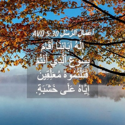 Picture 04 - أَعْمَالُ ٱلرُّسُلِ 5:30 AVD - إِلَهُ آبَائِنَا أَقَامَ - Bible Verse Picture