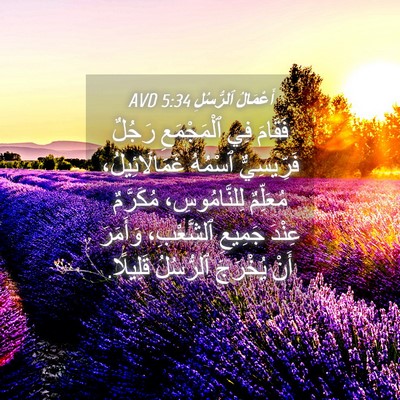 Picture 04 - أَعْمَالُ ٱلرُّسُلِ 5:34 AVD - فَقَامَ فِي ٱلْمَجْمَعِ - Bible Verse Picture