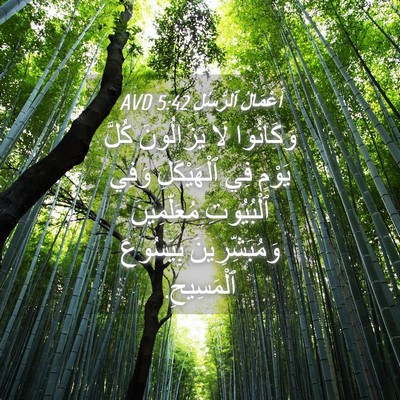 Picture 04 - أَعْمَالُ ٱلرُّسُلِ 5:42 AVD - وَكَانُوا لَا يَزَالُونَ - Bible Verse Picture