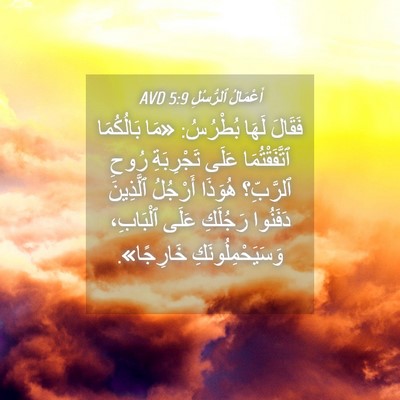 Picture 04 - أَعْمَالُ ٱلرُّسُلِ 5:9 AVD - فَقَالَ لَهَا بُطْرُسُ: - Bible Verse Picture