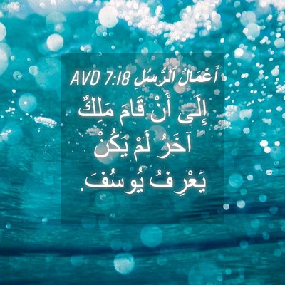 Picture 04 - أَعْمَالُ ٱلرُّسُلِ 7:18 AVD - إِلَى أَنْ قَامَ مَلِكٌ - Bible Verse Picture
