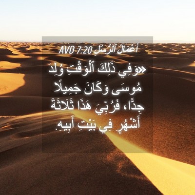 Picture 04 - أَعْمَالُ ٱلرُّسُلِ 7:20 AVD - «وَفِي ذَلِكَ ٱلْوَقْتِ - Bible Verse Picture