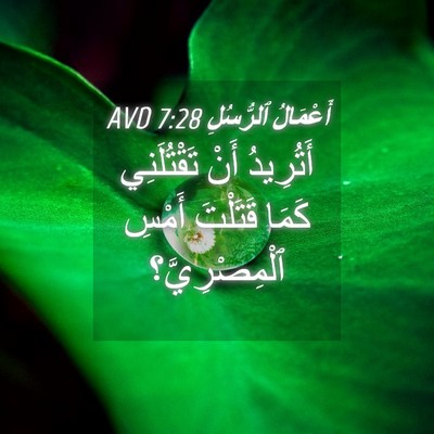 Picture 04 - أَعْمَالُ ٱلرُّسُلِ 7:28 AVD - أَتُرِيدُ أَنْ - Bible Verse Picture
