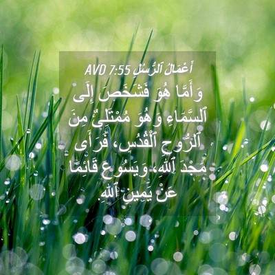 Picture 04 - أَعْمَالُ ٱلرُّسُلِ 7:55 AVD - وَأَمَّا هُوَ فَشَخَصَ - Bible Verse Picture