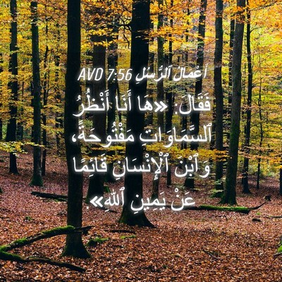 Picture 04 - أَعْمَالُ ٱلرُّسُلِ 7:56 AVD - فَقَالَ: «هَا أَنَا - Bible Verse Picture