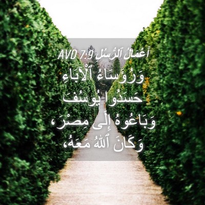 Picture 04 - أَعْمَالُ ٱلرُّسُلِ 7:9 AVD - وَرُؤَسَاءُ ٱلْآبَاءِ - Bible Verse Picture