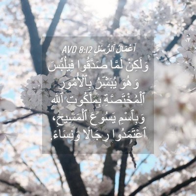Picture 04 - أَعْمَالُ ٱلرُّسُلِ 8:12 AVD - وَلَكِنْ لَمَّا صَدَّقُوا - Bible Verse Picture