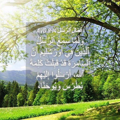 Picture 04 - أَعْمَالُ ٱلرُّسُلِ 8:14 AVD - وَلَمَّا سَمِعَ ٱلرُّسُلُ - Bible Verse Picture