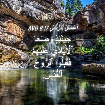 Picture 04 - أَعْمَالُ ٱلرُّسُلِ 8:17 AVD - حِينَئِذٍ وَضَعَا - Bible Verse Picture