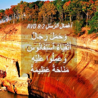 Picture 04 - أَعْمَالُ ٱلرُّسُلِ 8:2 AVD - وَحَمَلَ رِجَالٌ - Bible Verse Picture