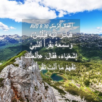 Picture 04 - أَعْمَالُ ٱلرُّسُلِ 8:30 AVD - فَبَادَرَ إِلَيْهِ - Bible Verse Picture