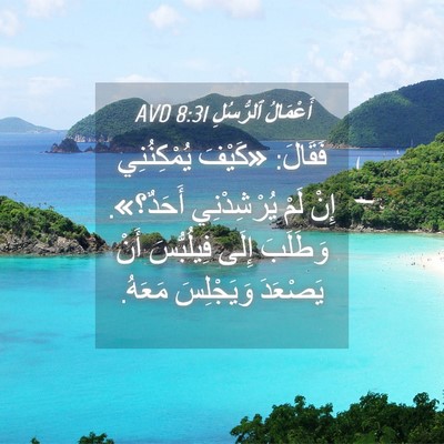Picture 04 - أَعْمَالُ ٱلرُّسُلِ 8:31 AVD - فَقَالَ: «كَيْفَ - Bible Verse Picture