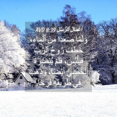 Picture 04 - أَعْمَالُ ٱلرُّسُلِ 8:39 AVD - وَلَمَّا صَعِدَا مِنَ - Bible Verse Picture