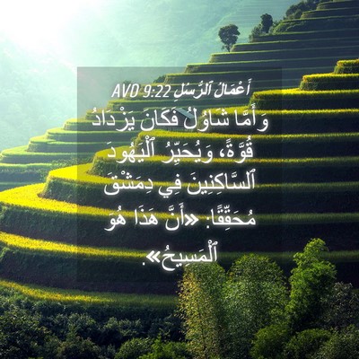 Picture 04 - أَعْمَالُ ٱلرُّسُلِ 9:22 AVD - وَأَمَّا شَاوُلُ فَكَانَ - Bible Verse Picture