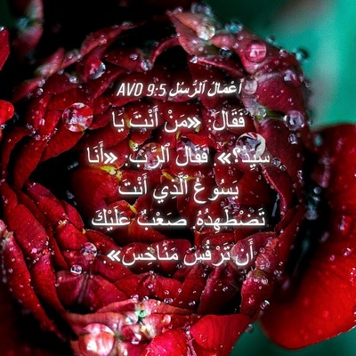 Picture 04 - أَعْمَالُ ٱلرُّسُلِ 9:5 AVD - فَقَالَ: «مَنْ أَنْتَ يَا - Bible Verse Picture