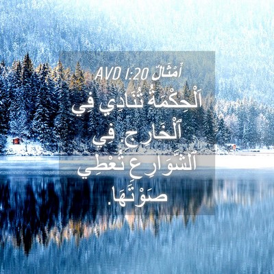 Picture 04 - أَمْثَالٌ 1:20 AVD - اَلْحِكْمَةُ تُنَادِي فِي - Bible Verse Picture