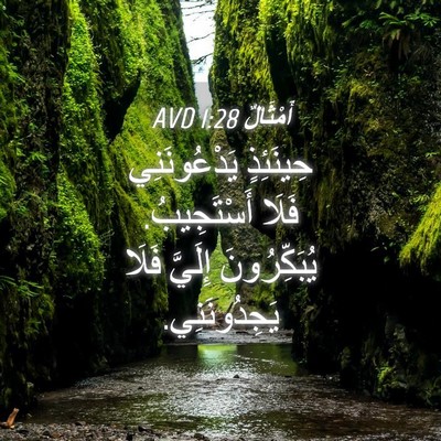 Picture 04 - أَمْثَالٌ 1:28 AVD - حِينَئِذٍ يَدْعُونَنِي - Bible Verse Picture