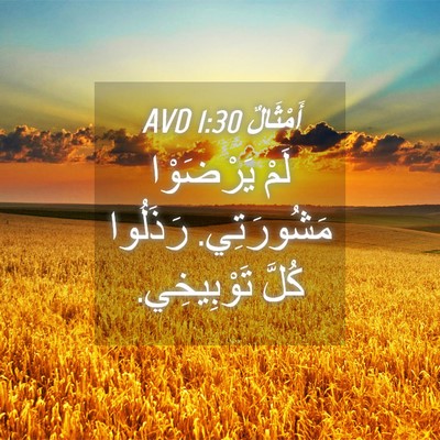 Picture 04 - أَمْثَالٌ 1:30 AVD - لَمْ يَرْضَوْا مَشُورَتِي. - Bible Verse Picture