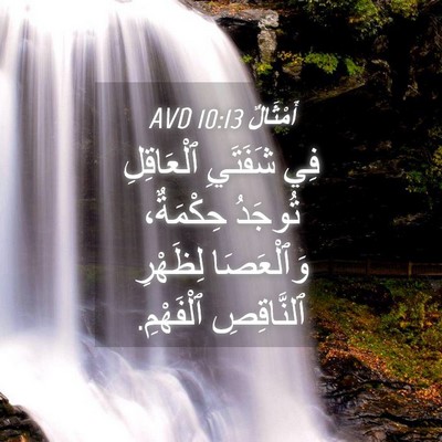Picture 04 - أَمْثَالٌ 10:13 AVD - فِي شَفَتَيِ ٱلْعَاقِلِ - Bible Verse Picture