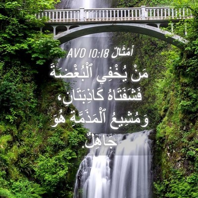 Picture 04 - أَمْثَالٌ 10:18 AVD - مَنْ يُخْفِي ٱلْبُغْضَةَ - Bible Verse Picture