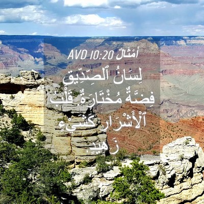 Picture 04 - أَمْثَالٌ 10:20 AVD - لِسَانُ ٱلصِّدِّيقِ - Bible Verse Picture