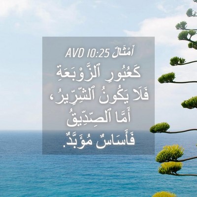 Picture 04 - أَمْثَالٌ 10:25 AVD - كَعُبُورِ ٱلزَّوْبَعَةِ - Bible Verse Picture
