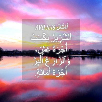 Picture 04 - أَمْثَالٌ 11:18 AVD - اَلشِّرِّيرُ يَكْسَبُ - Bible Verse Picture