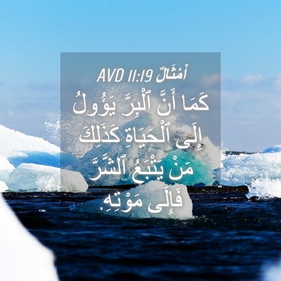 Picture 04 - أَمْثَالٌ 11:19 AVD - كَمَا أَنَّ ٱلْبِرَّ - Bible Verse Picture