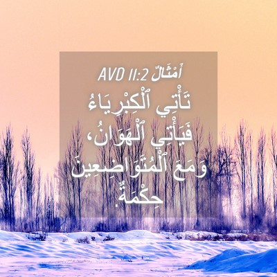 Picture 04 - أَمْثَالٌ 11:2 AVD - تَأْتِي ٱلْكِبْرِيَاءُ - Bible Verse Picture