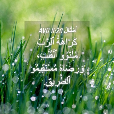 Picture 04 - أَمْثَالٌ 11:20 AVD - كَرَاهَةُ ٱلرَّبِّ - Bible Verse Picture